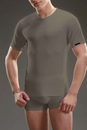 Koszulka Cornette 531 High Emotion kr/r M-2XL szary melanż