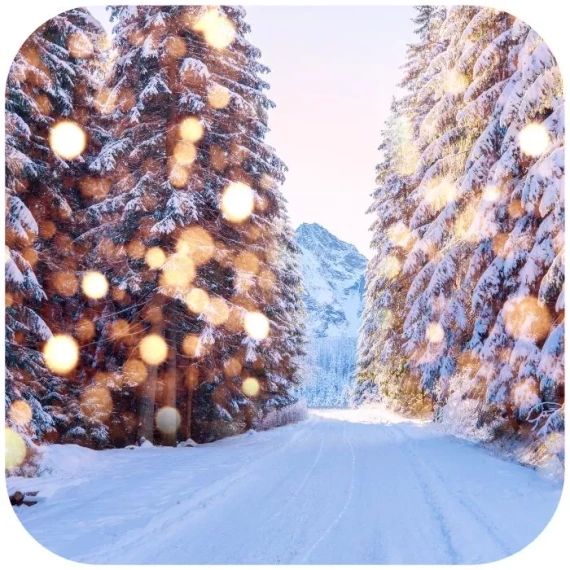 Świeca Sojowa o zapachu Magic Forest