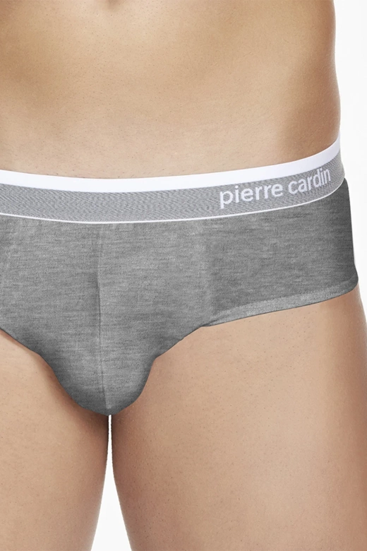 Męskie slipy bawełniane klasyczne Pierre Cardin PCU 402, szare