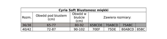 RÓŻA zmysłowy pas do pończoch CYRIA, red