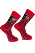 Męskie Skarpetki Świąteczne CMLS500-005 3-pack w świątecznym pudełku bawełna