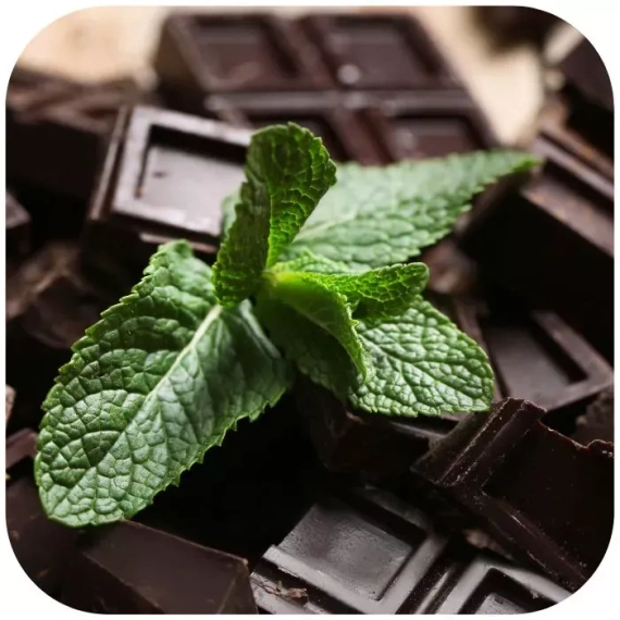 Świeca Sojowa o zapachu AFTER EIGHT