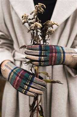 Rękawiczki Scotland Beige