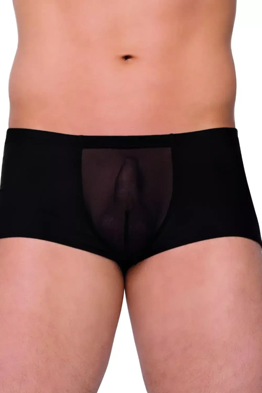 Shorts 4505
